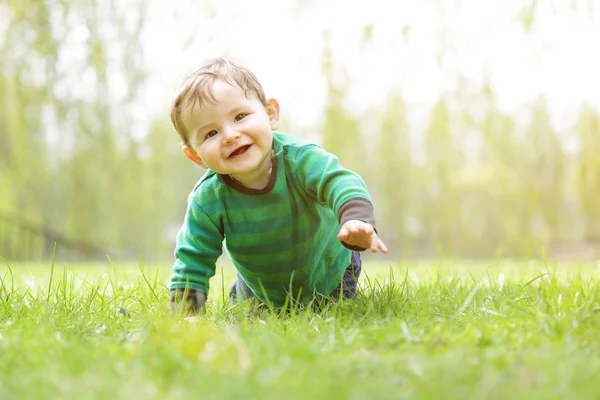 Lindo niño feliz (7 meses de edad) descubrir la naturaleza. Rastreo —  Fotos de Stock
