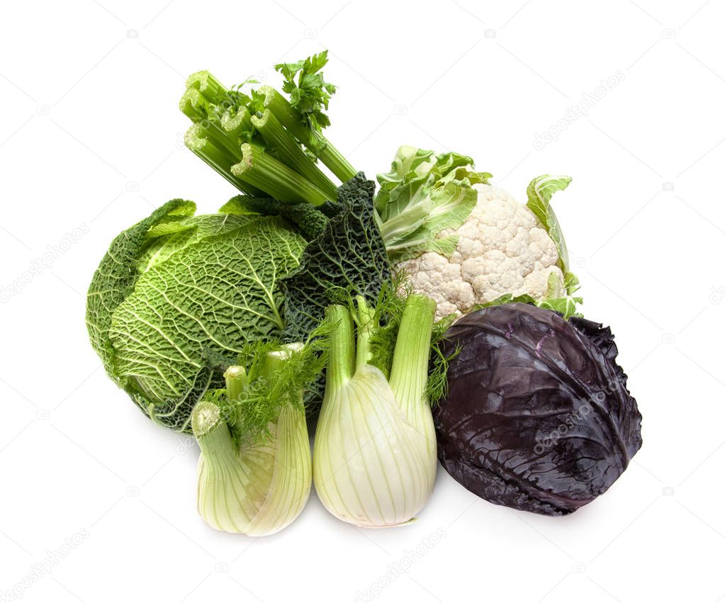 Assorted  Group of Vegetables Isolated on White Background: Red Cabbage, Savoy Cabbage, Cauliflower, Fennel and Celery