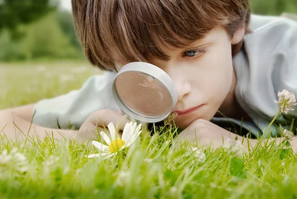 Pre School Boy, descubriendo la naturaleza mientras mira a través de una lupa —  Fotos de Stock