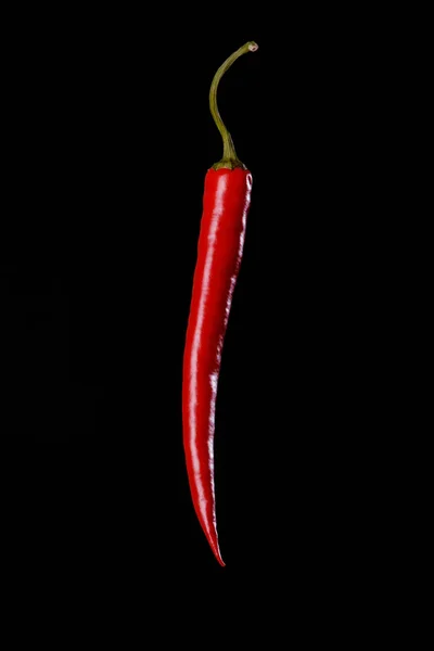 Chili picante rojo aislado sobre fondo negro — Foto de Stock