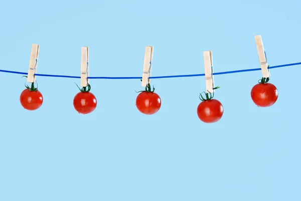 Trocknen der Tomaten auf einer Wäscheleine mit Wäscheklammern auf blauem Hintergrund — Stockfoto