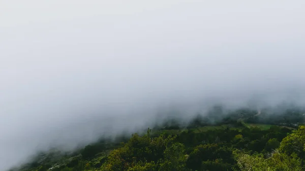 Una Montaña Cubierta Por Bosque Verde Bajo Una Nube Una — Foto de Stock