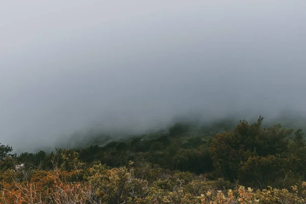 在法国阿尔卑斯山低洼地区的一个雾蒙蒙的早晨 青翠的森林覆盖着一座山 — 图库照片