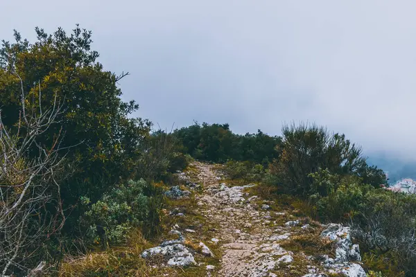 Una Ruta Senderismo Cima Una Cordillera Bajo Una Nube Una — Foto de Stock