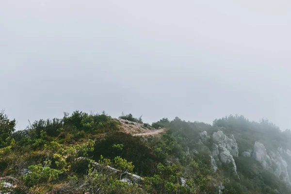 Una Ruta Senderismo Cima Una Cordillera Bajo Una Nube Una — Foto de Stock