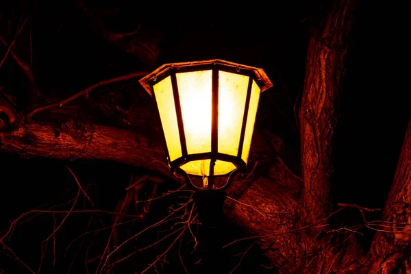 Plan Rapproché Une Lanterne Lampadaire Nuit — Photo