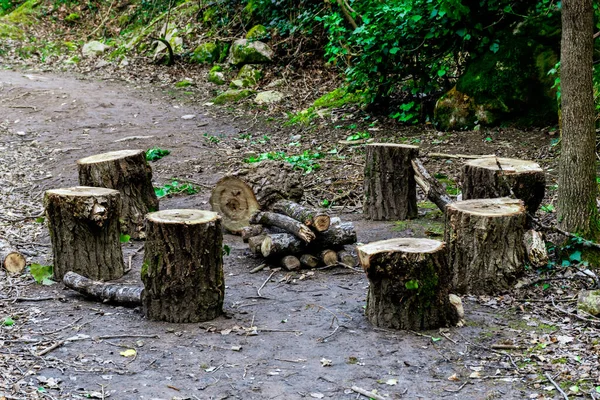 Sete Tocos Árvore Torno Madeira Preparada Para Uma Fogueira Acampamento — Fotografia de Stock