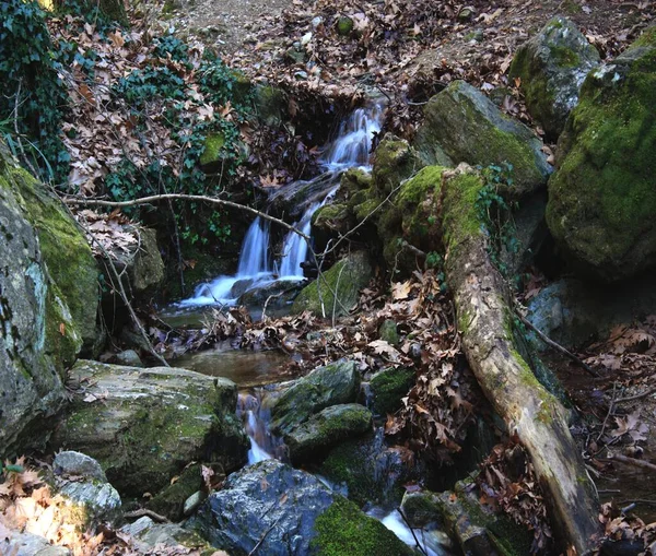 This is the ancient path of centaur\'s from the greek mythology. In Pelion mountain