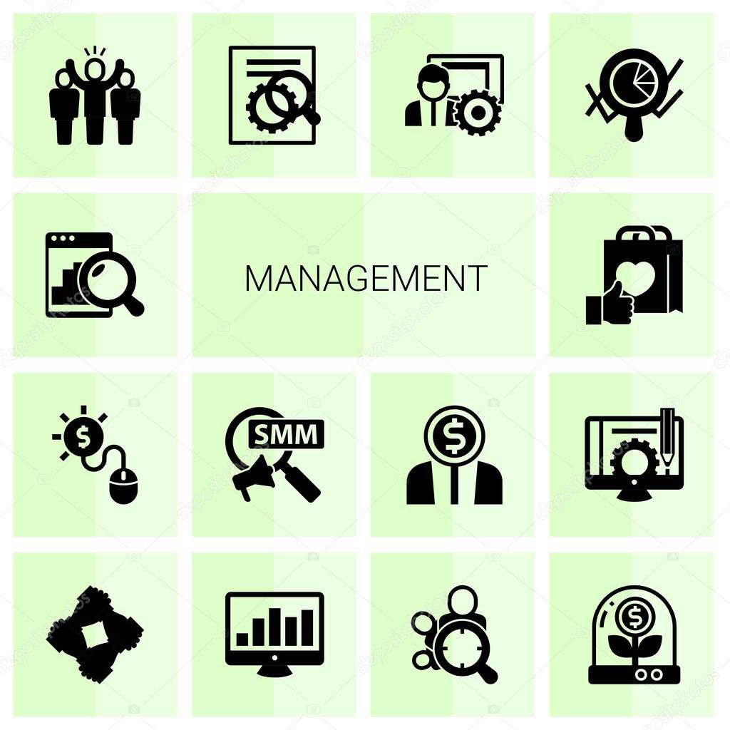 14 management filled icons set isolated on white background. Icons set with Web analytics, Pay per click, Social Marketing, Brand engagement, leader, SEO optimization, social media management icons.