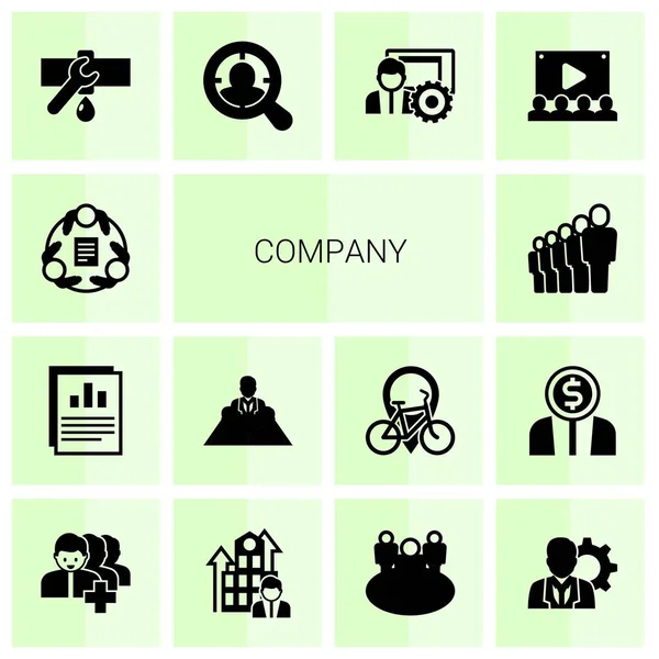 14 company filled icons set isolated on white background. Icons set with teamwork, Annual report, director, staff, Plumbing service, Target Audience, social media management icons. — 图库矢量图片
