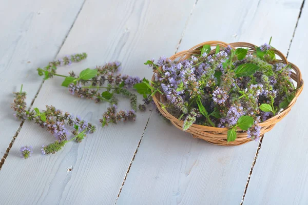 sprigs of mint with flowers in a wicker vase on wooden background