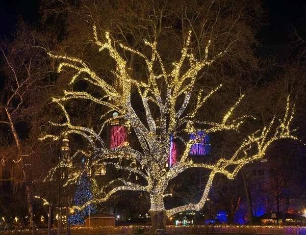 Holiday decorations of Rathauspark in Vienna. Austria