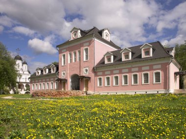 Bolşiye Vyazyomy 'deki at çiftliği. Odintsovsky bölgesi. Moskova Oblastı. Rusya