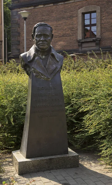 Posen Polen August 2019 Denkmal Für Den Römischen Wilhelmi Posen — Stockfoto