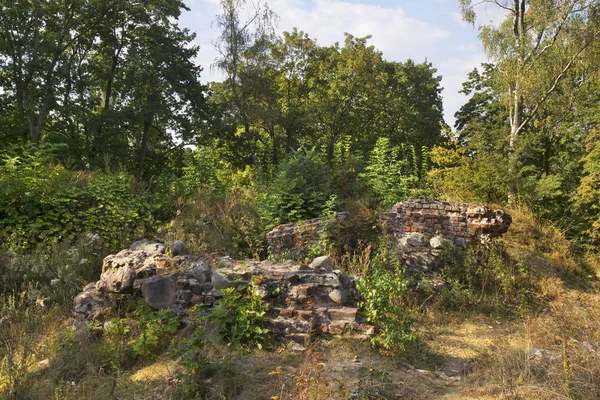 Ruinen Des Schlosses Der Bischöfe Von Chelmno Auf Dem Burgberg — Stockfoto