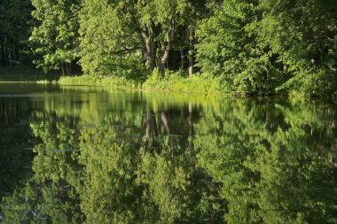 Vorontsov-Dashkov çiftliği. Bykovo iş anlaşması. Ramensky bölgesi. Moskova Oblastı. Rusya