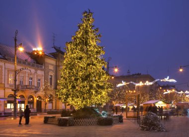 Debrecen 'deki Kossuth Meydanı' nın tatil süslemeleri. Macaristan
