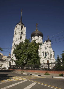 Voronezh 'deki anons katedrali. Rusya