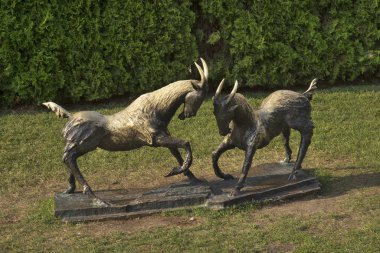 Poznan 'daki Frederic Chopin parkındaki keçi anıtı. Polonya