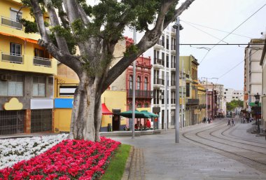 Santa Cruz de Tenerife caddesi. Kanarya Adaları. İspanya