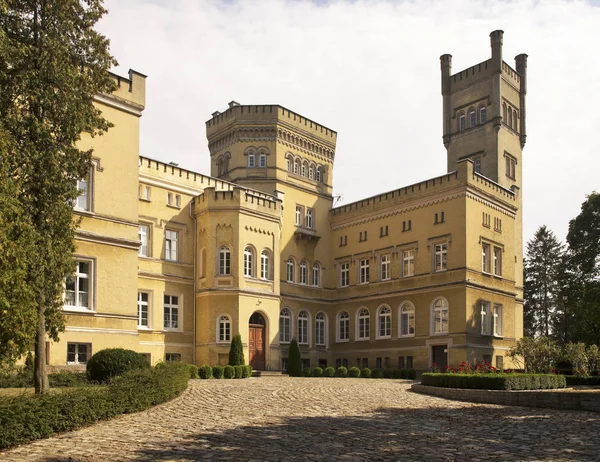 位于Jablonowo Pomorskie附近的Narzymski家城堡 免版税图库图片