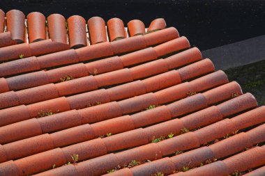 Lvramento 'nun çatısının bir parçası. Funchal. Madeira adası. Portekiz