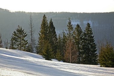 Silesian Beskids manzarası. Polonya