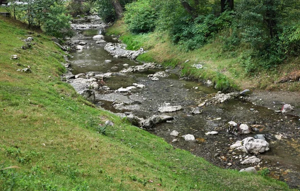 Rivière Turcul Bran Roumanie — Photo