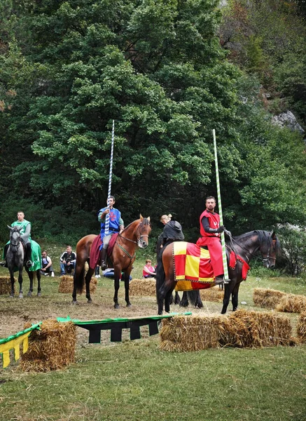 Joust Pobliżu Zamku Bran Zamek Dracula Rumunia — Zdjęcie stockowe