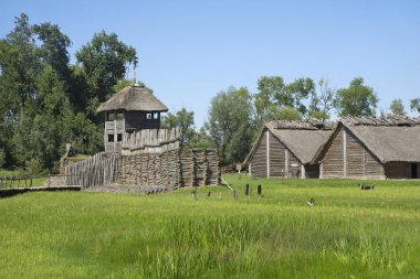 Biskupin 'deki eski kale. Polonya