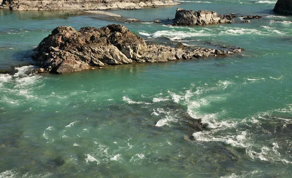 Ποταμός Katun Στο Χωριό Manzherok Δημοκρατία Του Αλτάι Ρωσία — Φωτογραφία Αρχείου