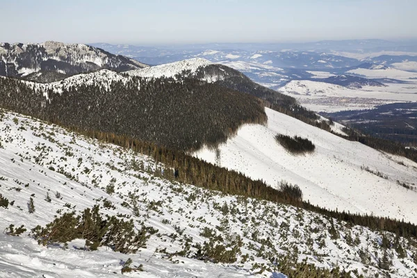 Landschaft Bei Tatranska Lomnica Slowakei — Stockfoto