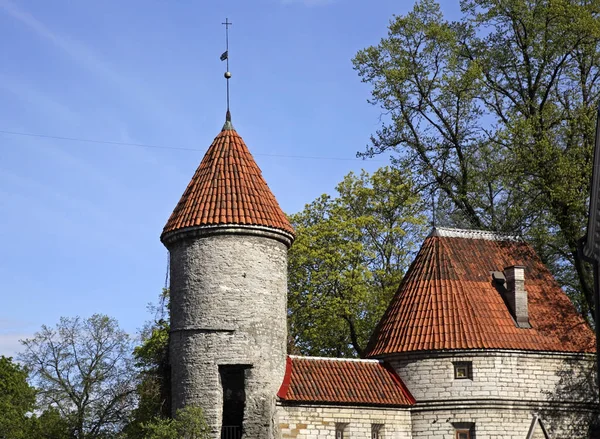 Městské Hradby Tallinnu Estonsko — Stock fotografie