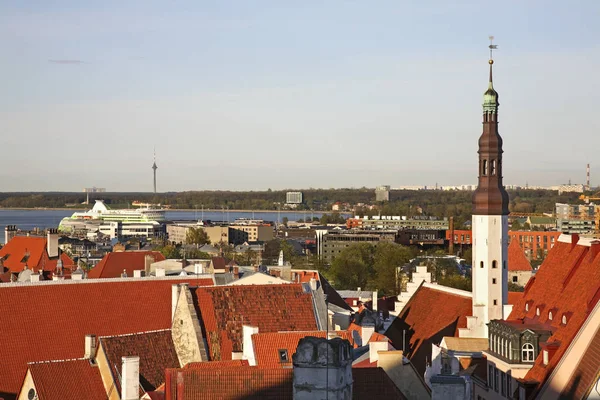 Vista Panorâmica Tallinn Estónia — Fotografia de Stock