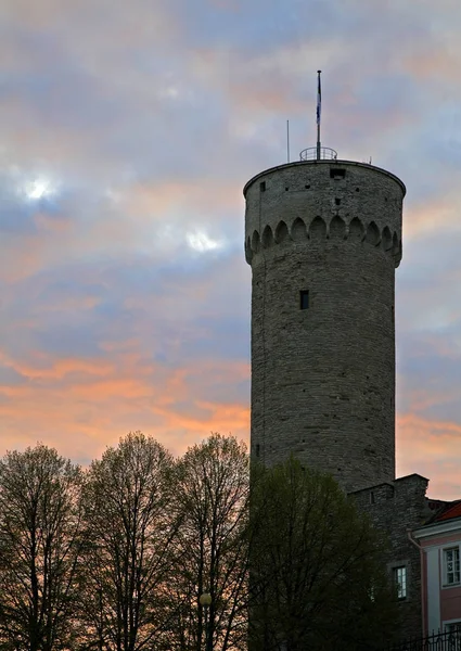 Pikk Hermann Tallinie Estonia — Zdjęcie stockowe