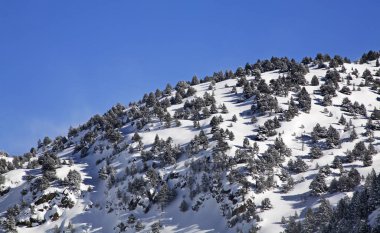 Kampın yakınındaki Pireneler. Andorra.