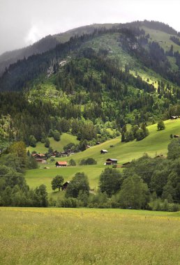 Bern Kantonu 'ndaki ev. İsviçre