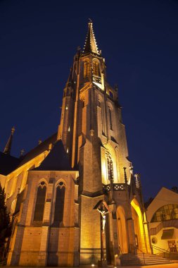 Katowice 'deki Kutsal Bakire Meryem' in Meryem Ana Kilisesi. Polonya