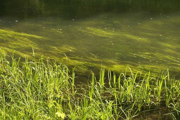 Río Vorgol Cerca Yelets Región Lipetsk Rusia — Foto de Stock