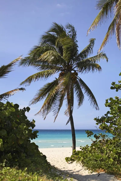 Strâmtoarea Florida Din Varadero Cuba — Fotografie, imagine de stoc