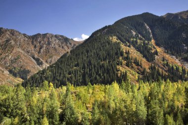 Issyk Kanyonu manzarası. Kazakistan