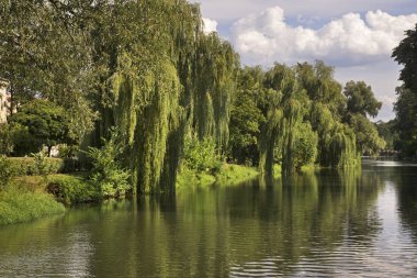 Zagan 'daki Bobr nehri. Polonya