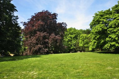 Malmö 'deki Kungsparken Parkı. İsveç