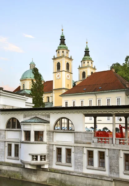 Cathédrale Saint Nicolas Ljubljana Slovène — Photo