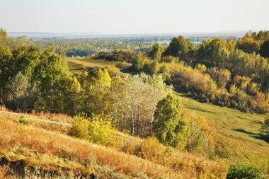 Srostki köyü yakınlarındaki manzara. Altai Krai. Batı Sibirya. Rusya