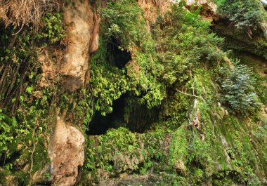 Ein Gedi Ulusal Parkı. İsrail
