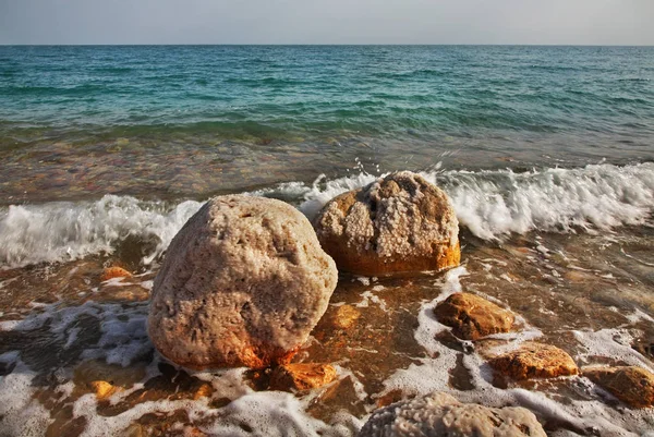 Dead Sea Coast Ein Gedi Israel — Stock Photo, Image