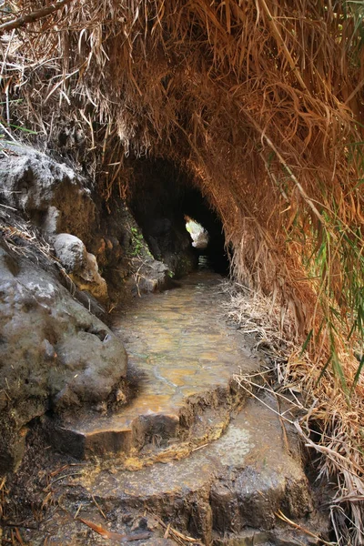 Taman Nasional Ein Gedi Israel — Stok Foto