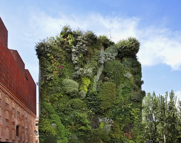 Vertikaler Garten Der Nähe Von Caixa Forum Madrid Spanien — Stockfoto