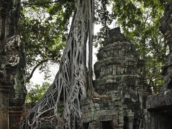 Prohm Templo Angkor Província Siem Reap Camboja — Fotografia de Stock